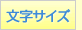 文字サイズ